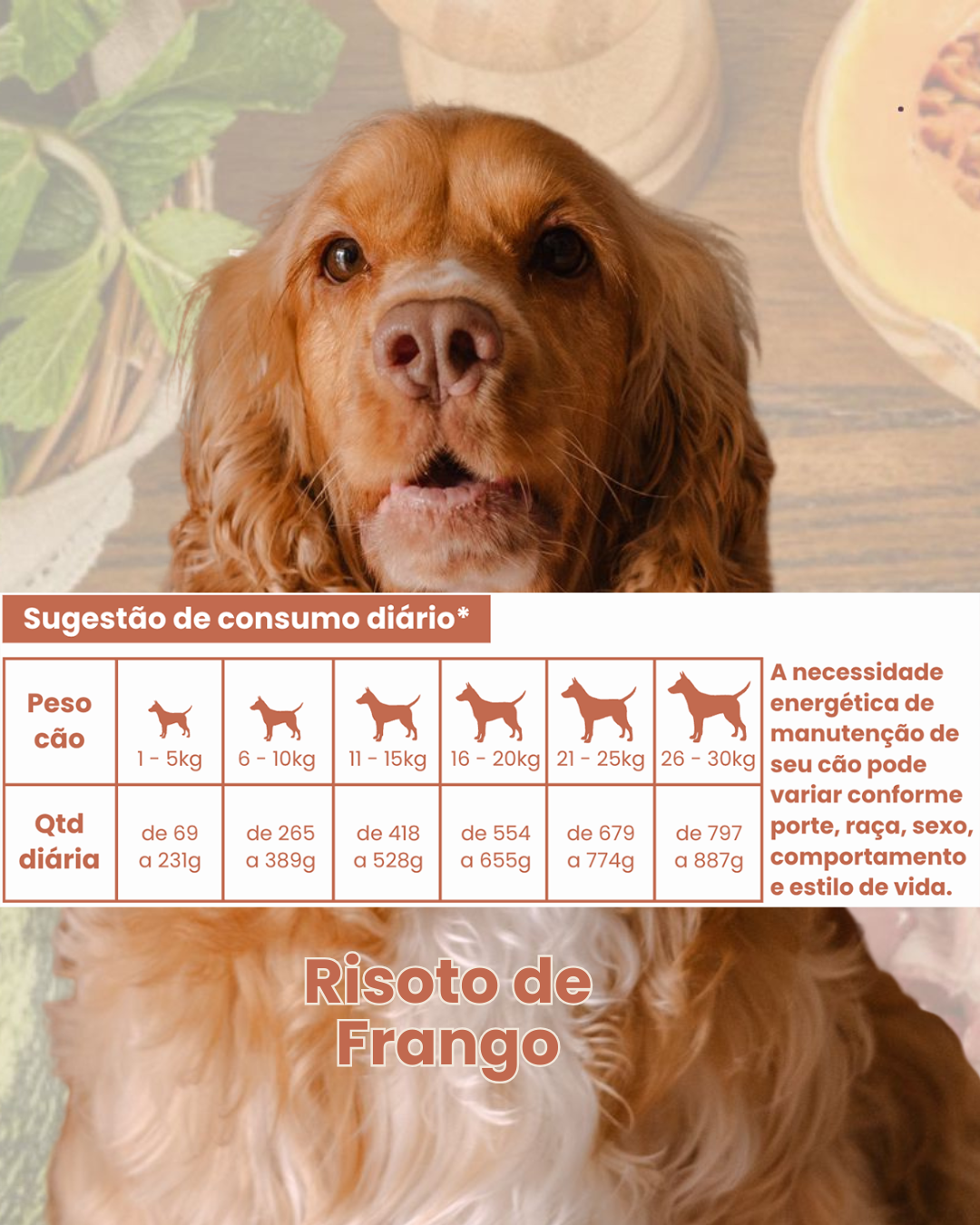 Risotinho de Frango