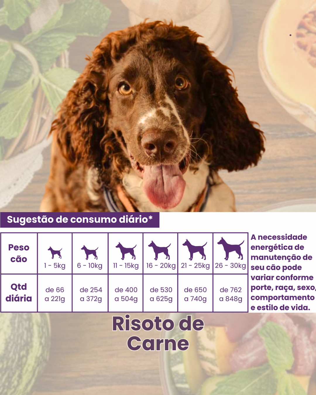 Risotinho de Carne